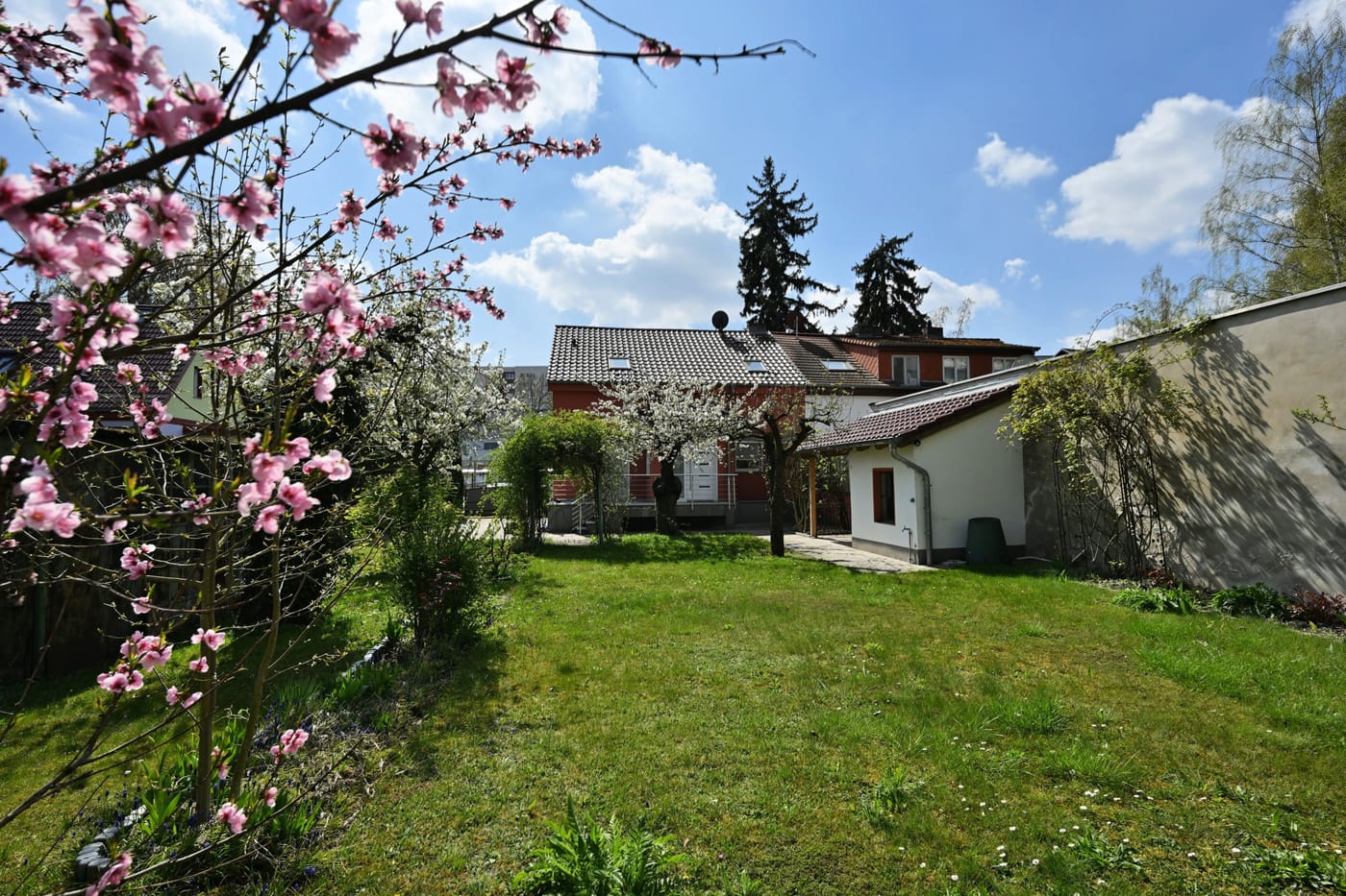 Garten mit Obstbäumen im Frühling